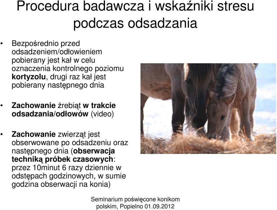 trakcie odsadzania/odłowów (video) Zachowanie zwierząt jest obserwowane po odsadzeniu oraz następnego dnia