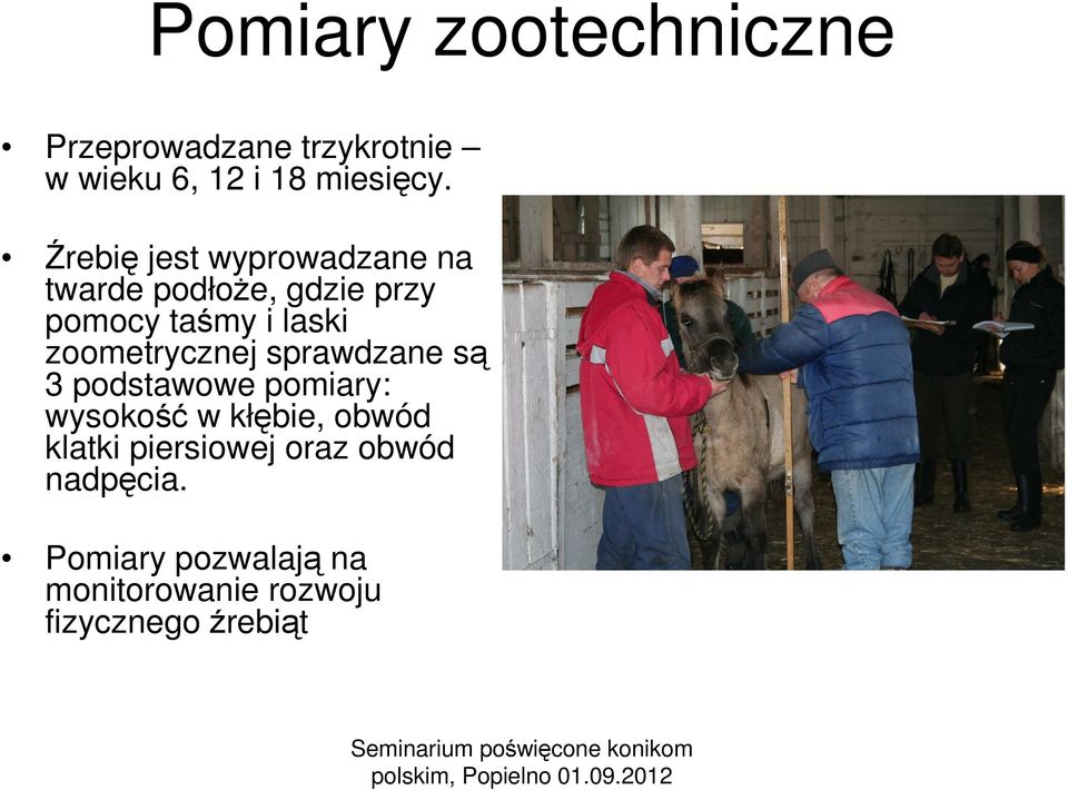 zoometrycznej sprawdzane są 3 podstawowe pomiary: wysokość w kłębie, obwód klatki