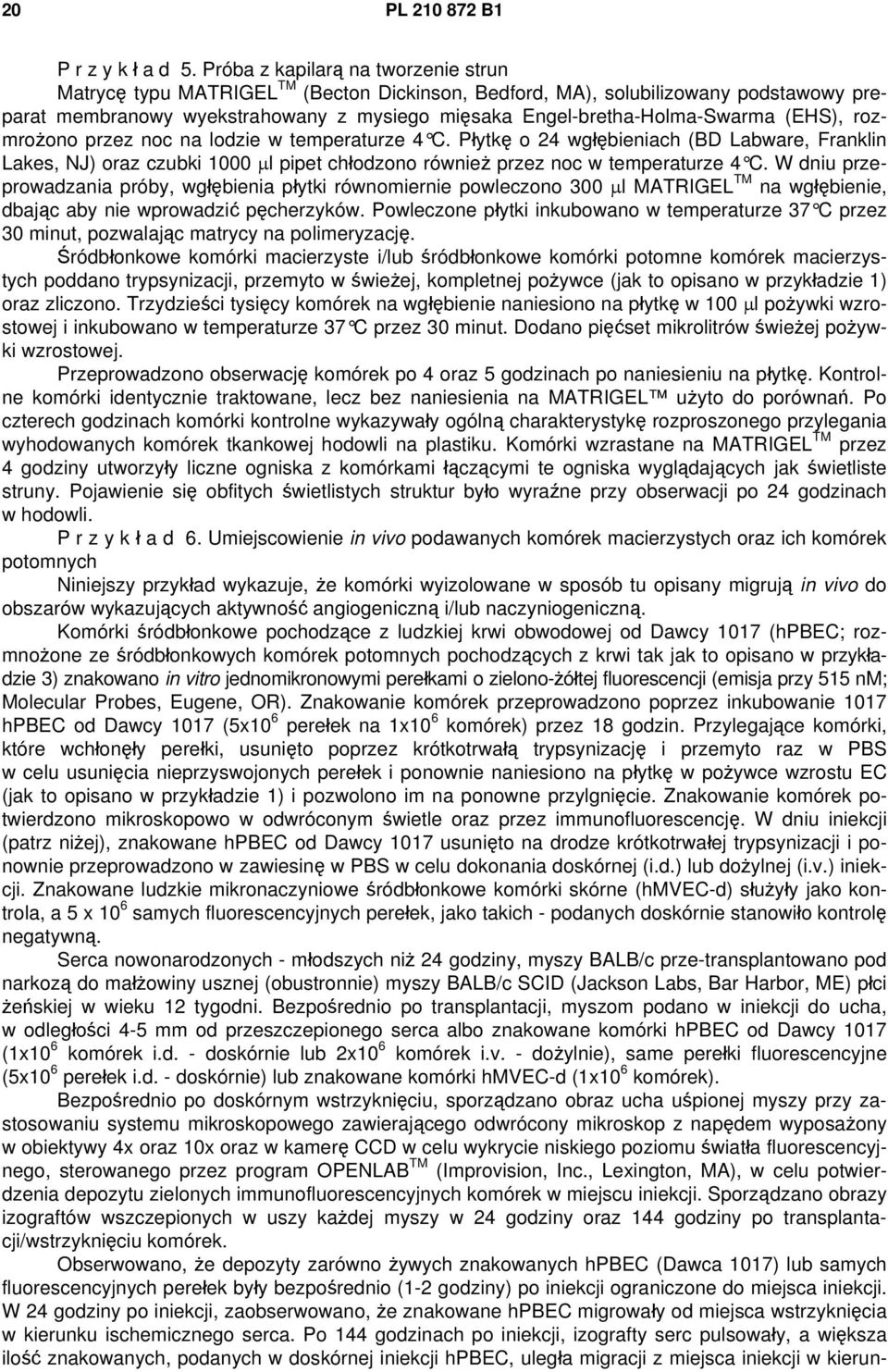 (EHS), rozmrożono przez noc na lodzie w temperaturze 4 C. Płytkę o 24 wgłębieniach (BD Labware, Franklin Lakes, NJ) oraz czubki 1000 μl pipet chłodzono również przez noc w temperaturze 4 C.