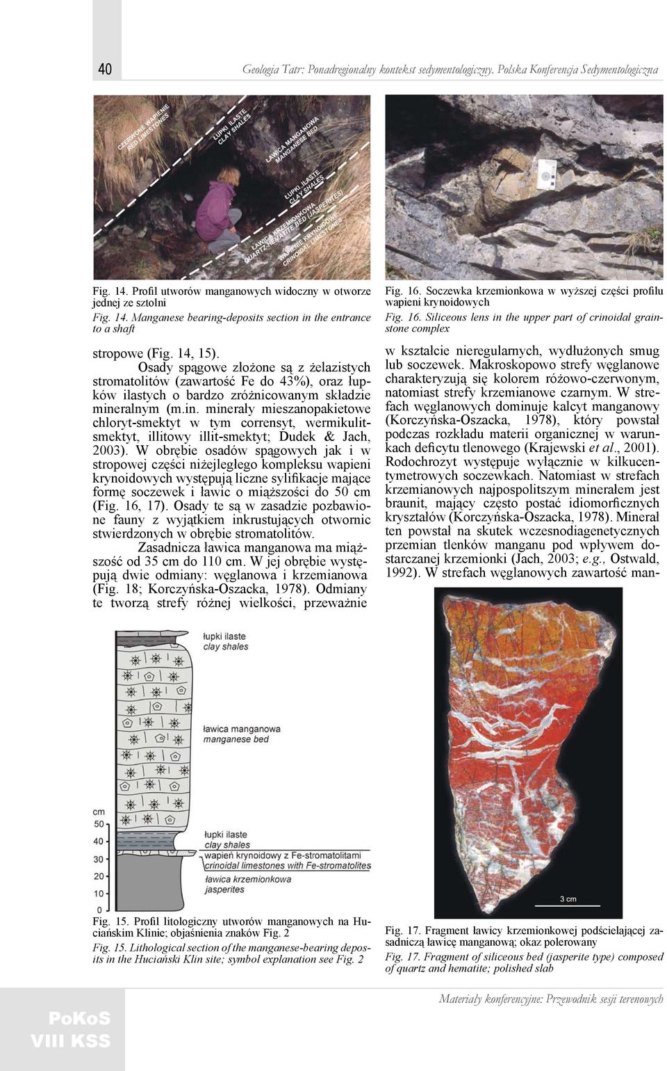ralnym (m.in. minerały mieszanopakietowe chloryt-smektyt w tym corrensyt, wermikulitsmektyt, illitowy illit-smektyt; Dudek & Jach, 2003).