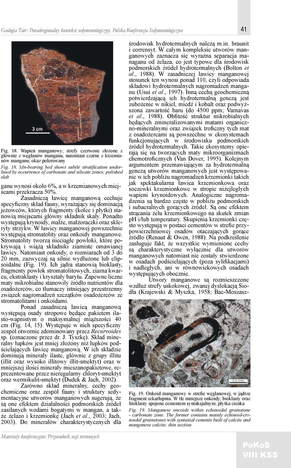 Mn-bearing bed shows subtle stratification underlined by occurrence of carbonate and silicate zones; polished slab ganu wynosi około 6%, a w krzemianowych miejscami przekracza 50%.