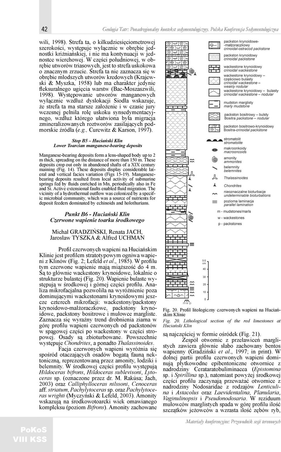 W części południowej, w obrębie utworów triasowych, jest to strefa uskokowa o znacznym zrzucie.