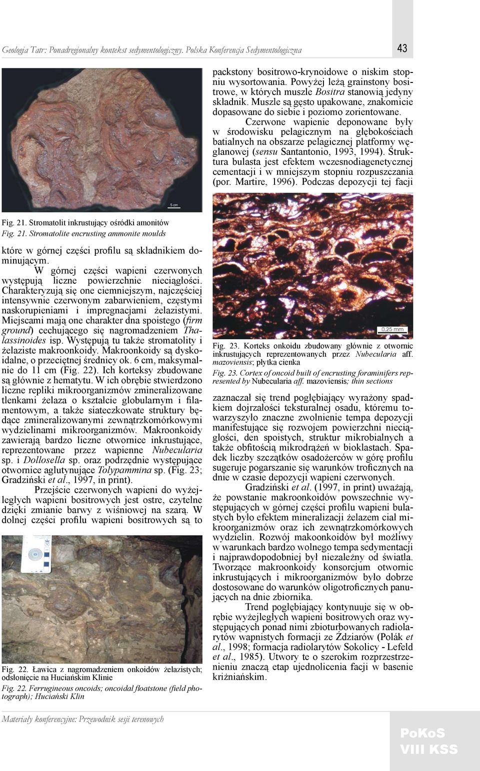 Czerwone wapienie deponowane były w środowisku pelagicznym na głębokościach batialnych na obszarze pelagicznej platformy węglanowej (sensu Santantonio, 1993, 1994).