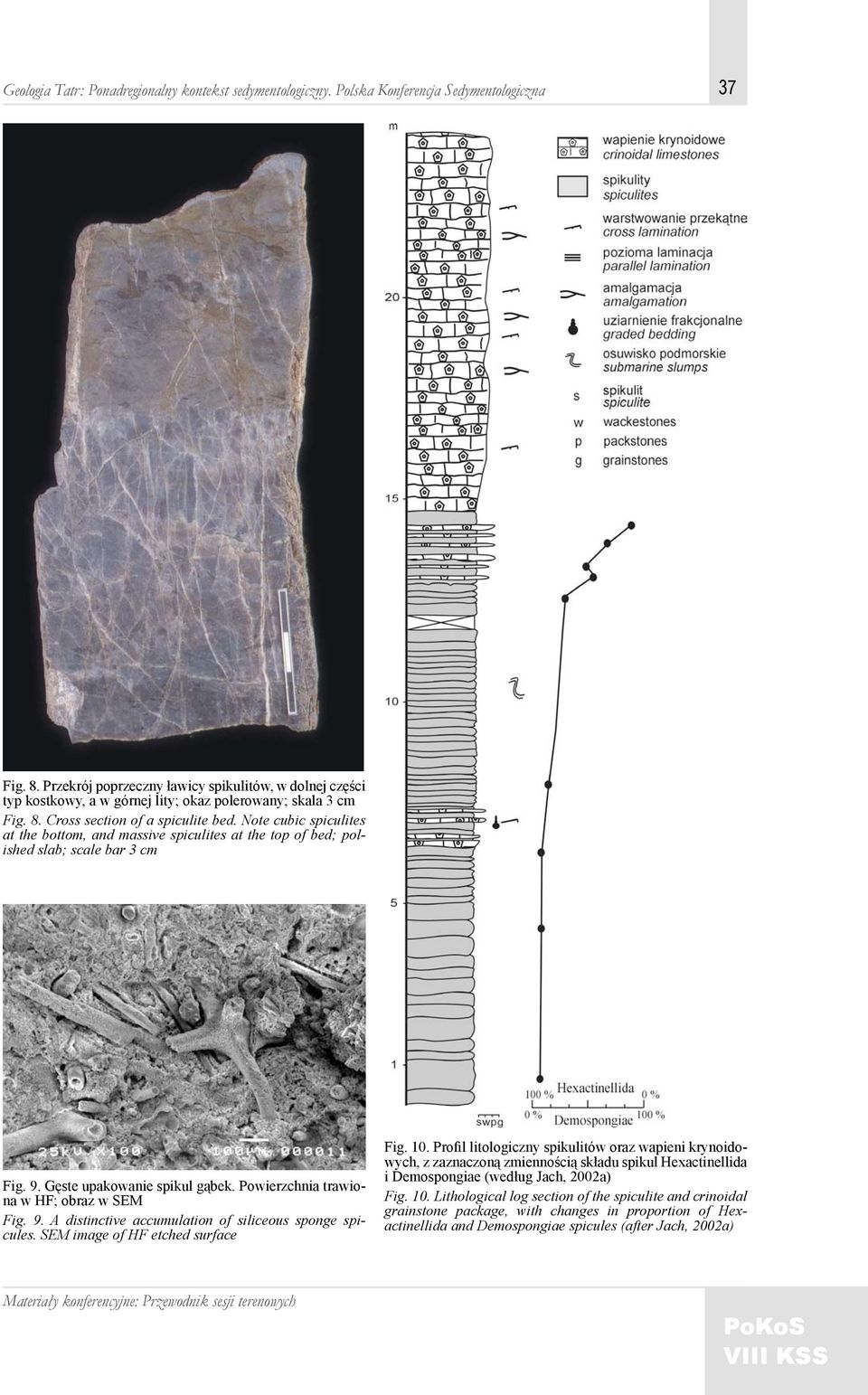 Note cubic spiculites at the bottom, and massive spiculites at the top of bed; polished slab; scale bar 3 cm Fig. 9. Gęste upakowanie spikul gąbek. Powierzchnia trawiona w HF; obraz w SEM Fig. 9. A distinctive accumulation of siliceous sponge spicules.
