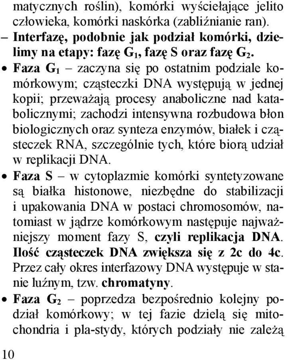 synteza enzymów, bia ek i cz steczek RNA, szczególnie tych, które bior udzia w replikacji DNA.