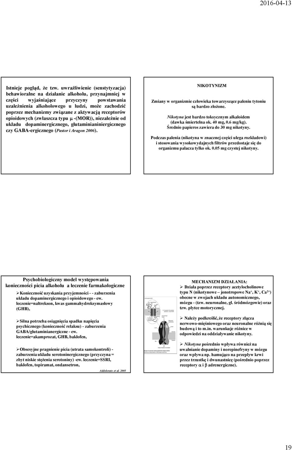 związane z aktywacją receptorów opioidowych(zwłaszcza typu µ-(mor)), niezależnie od układu dopaminergicznego, glutaminianiniergicznego czy GABA-ergicznego(Pastor i Aragon 2006).