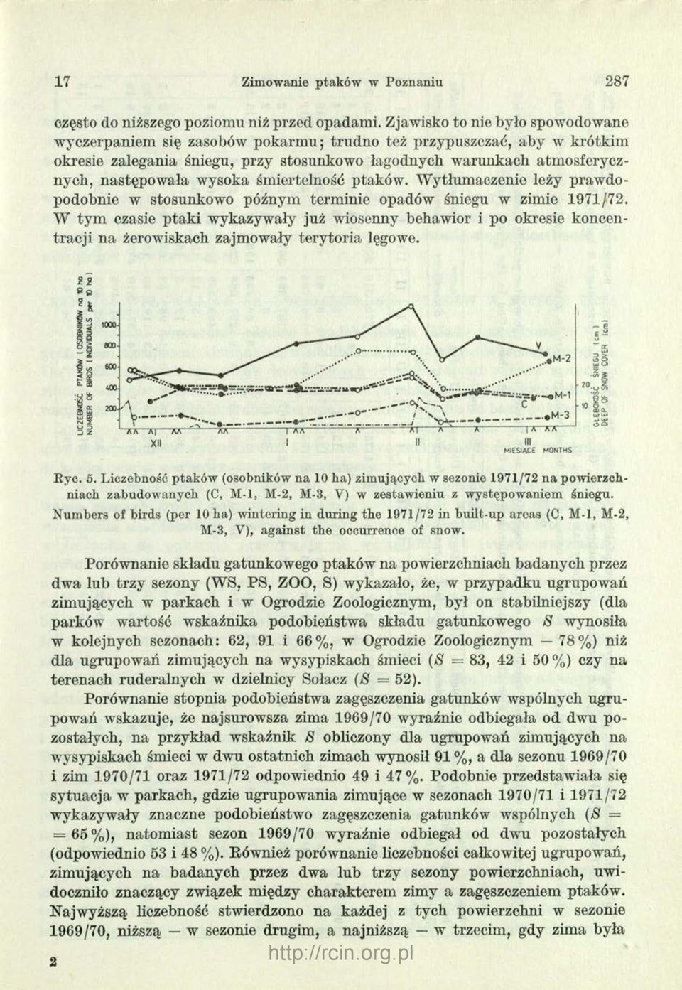 wysoka śmiertelność ptaków. Wytłumaczenie leży praw dopodobnie w stosunkowo późnym terminie opadów śniegu w zimie 1971/72.