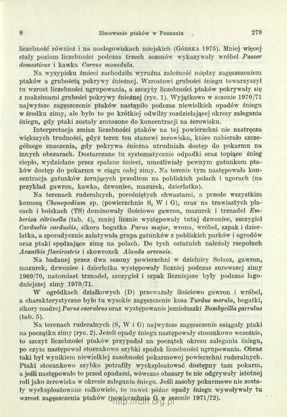 Na wysypisku śmieci zachodziła wyraźna zależność między zagęszczeniem ptaków a grubością pokrywy śnieżnej.