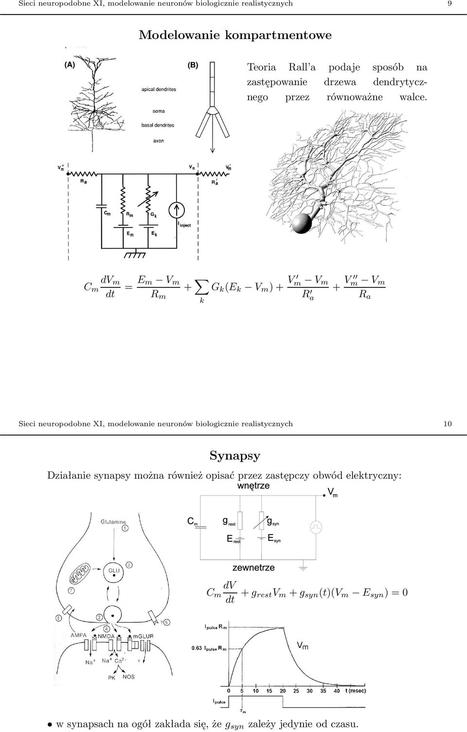 C m dv m dt = E m V m R m + k G k (E k V m ) + V m V m R a + V m V m R a Sieci neuropodobne XI, modelowanie neuronów biologicznie