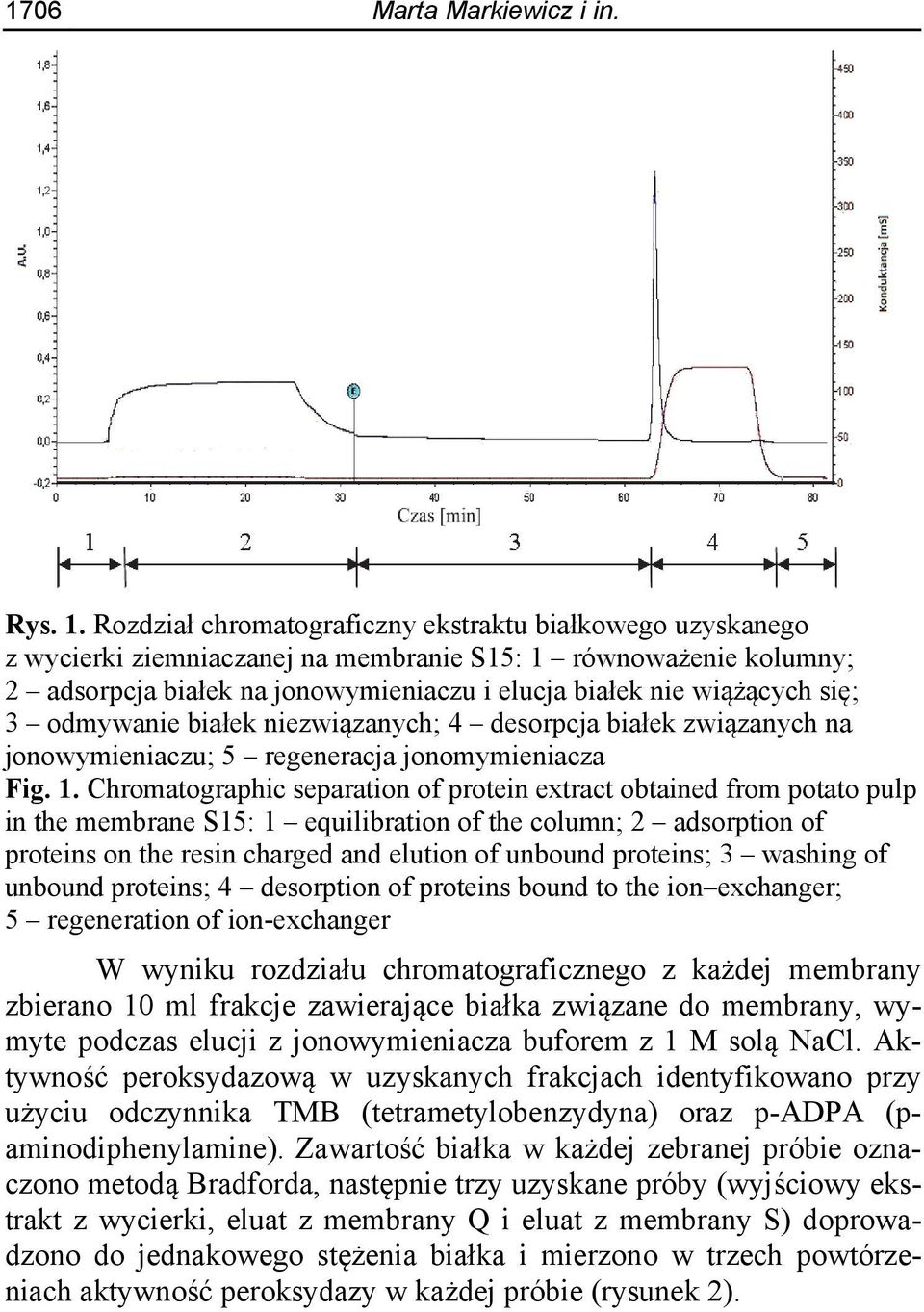 3 odmywanie białek niezwiązanych; 4 desorpcja białek związanych na jonowymieniaczu; 5 regeneracja jonomymieniacza Fig. 1.