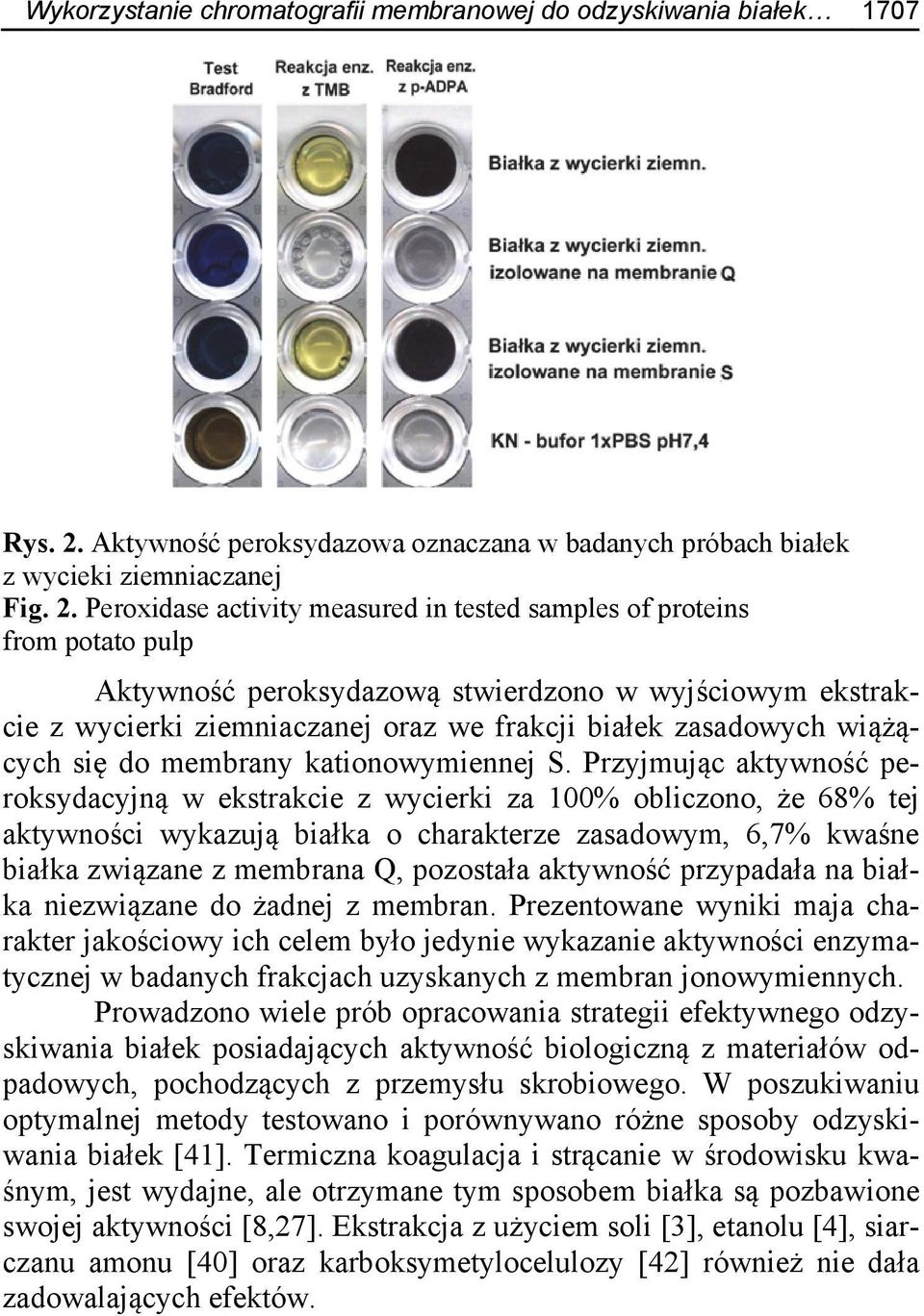 Peroxidase activity measured in tested samples of proteins from potato pulp Aktywność peroksydazową stwierdzono w wyjściowym ekstrakcie z wycierki ziemniaczanej oraz we frakcji białek zasadowych