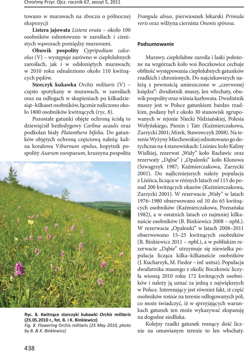 Obuwik pospolity Cypripedium calceolus (V) występuje zarówno w ciepłolubnych zaroślach, jak i w odsłoniętych murawach; w 2010 roku odnaleziono około 110 kwitnących pędów.