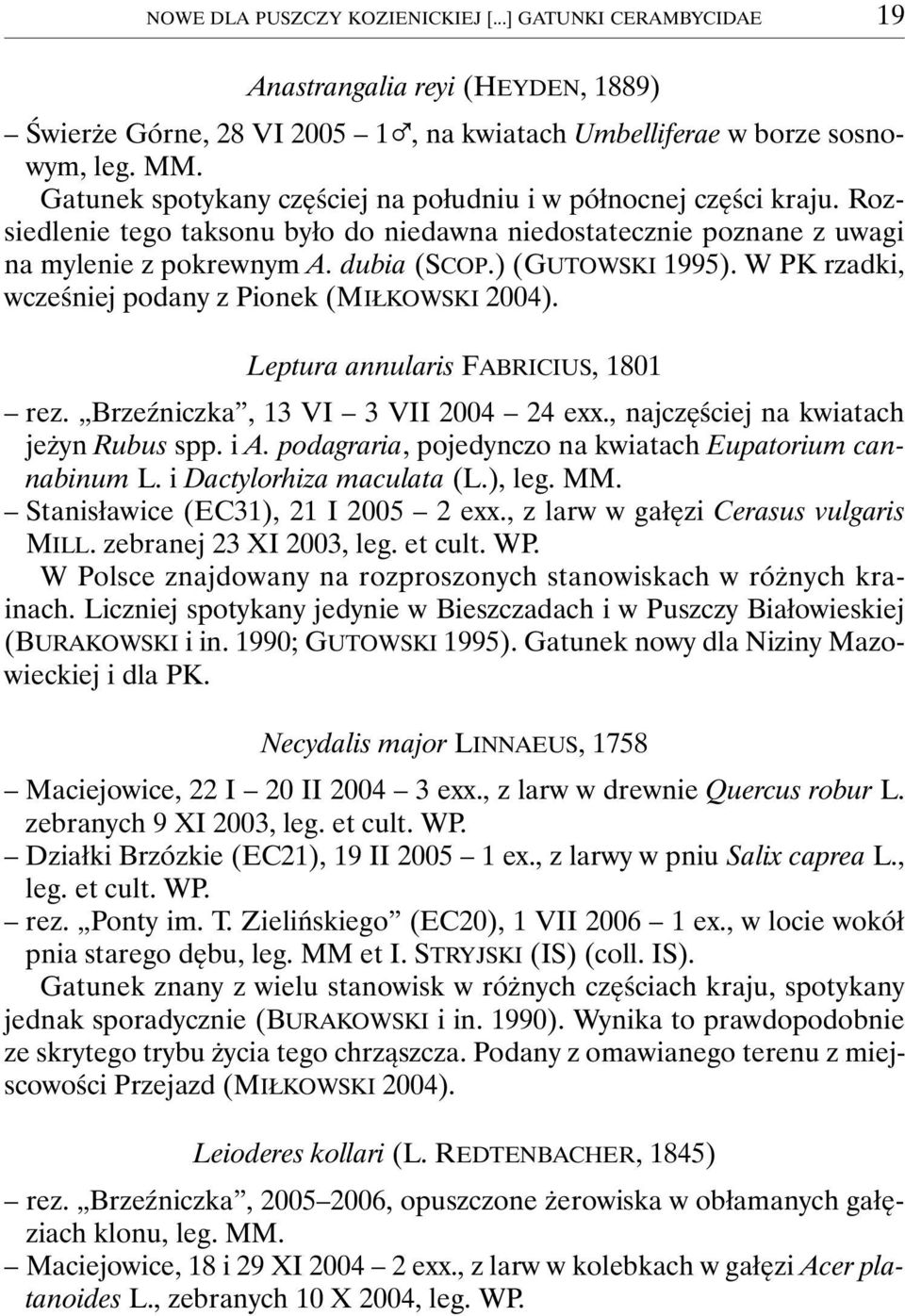 W PK rzadki, wcześniej podany z Pionek (MIŁKOWSKI 2004). Leptura annularis FABRICIUS, 1801 rez. Brzeźniczka, 13 VI 3 VII 2004 24 exx., najczęściej na kwiatach jeżyn Rubus spp. i A.