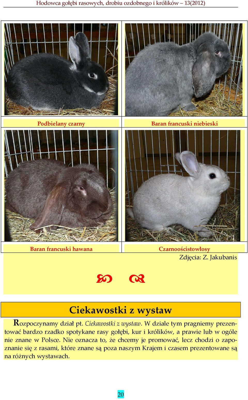 Rozpoczynamy dział pt. Ciekawostki z wystaw.