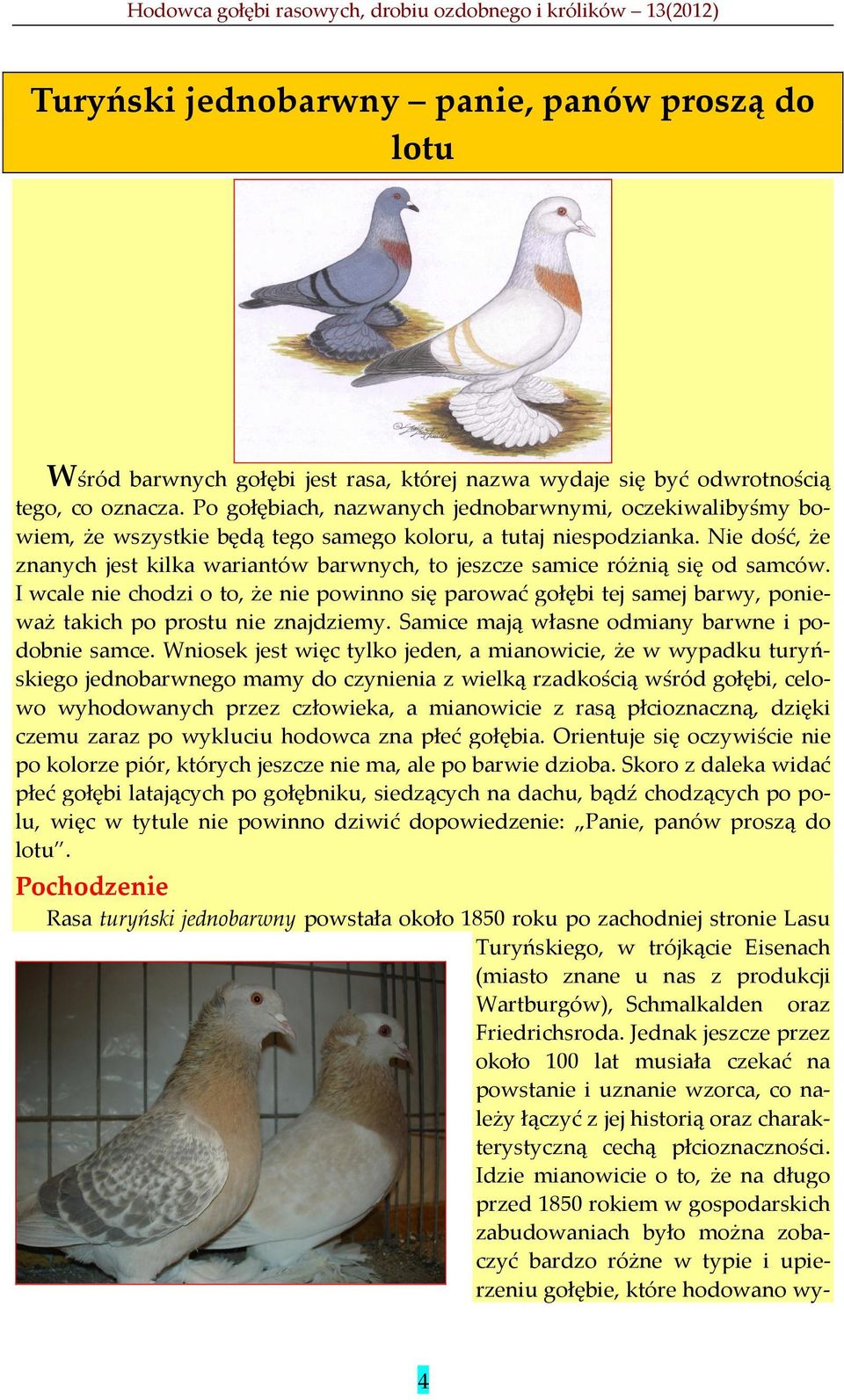 Nie dość, że znanych jest kilka wariantów barwnych, to jeszcze samice różnią się od samców.