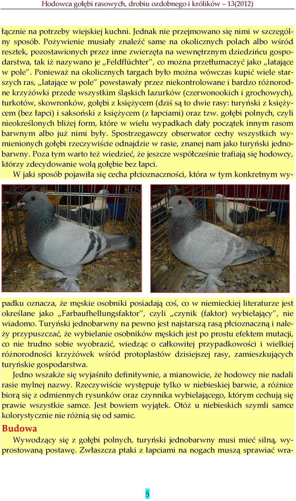 przetłumaczyć jako latające w pole.