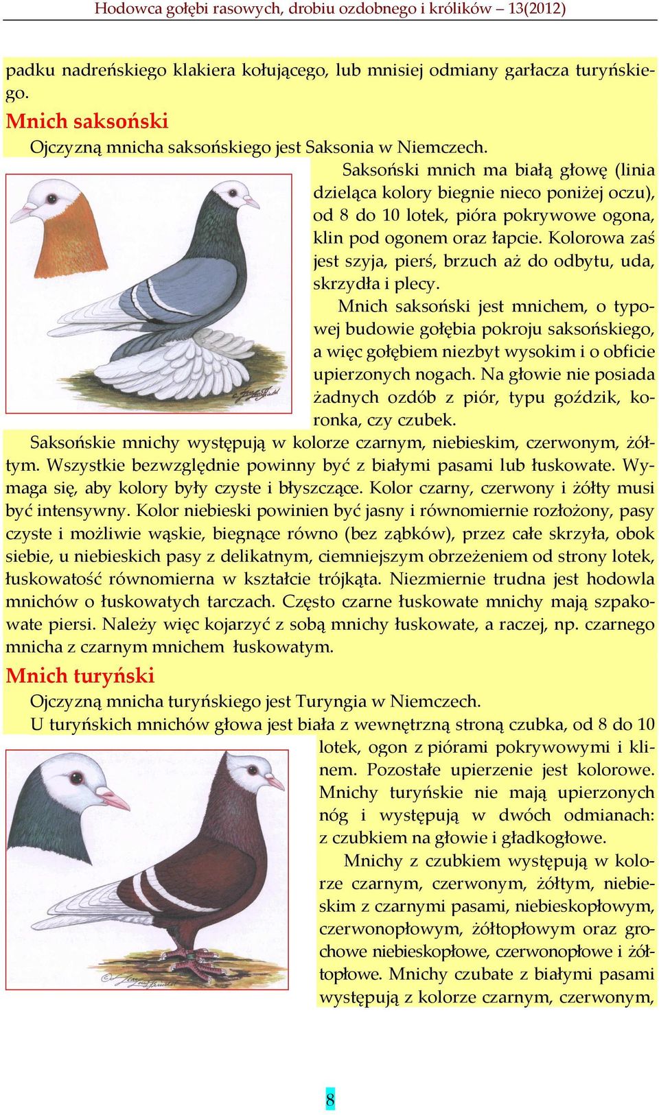 Kolorowa zaś jest szyja, pierś, brzuch aż do odbytu, uda, skrzydła i plecy.