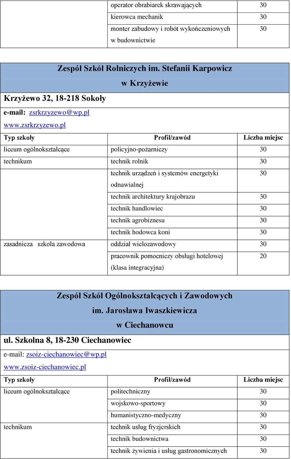 wp.pl www.zsrkrzyzewo.