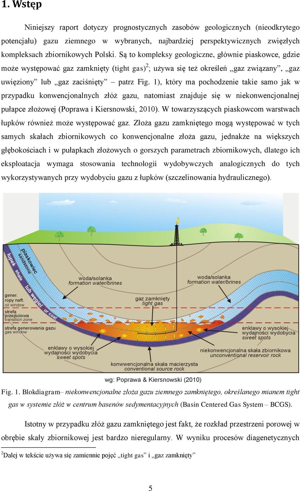 1), który ma pochodzenie takie samo jak w przypadku konwencjonalnych złóż gazu, natomiast znajduje się w niekonwencjonalnej pułapce złożowej (Poprawa i Kiersnowski, 2010).