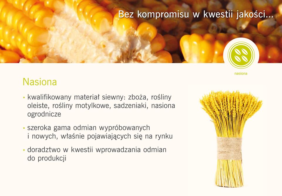 oleiste, rośliny motylkowe, sadzeniaki, nasiona ogrodnicze szeroka gama