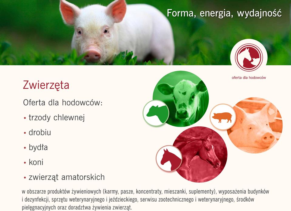koncentraty, mieszanki, suplementy), wyposażenia budynków i dezynfekcji, sprzętu weterynaryjnego i