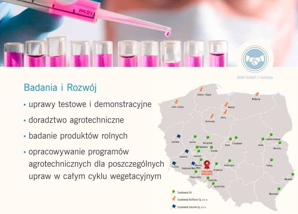 produktów rolnych opracowywanie programów