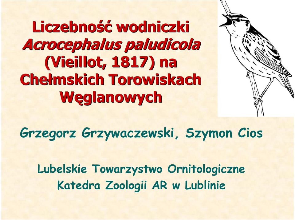 Węglanowych Grzegorz Grzywaczewski, Szymon Cios