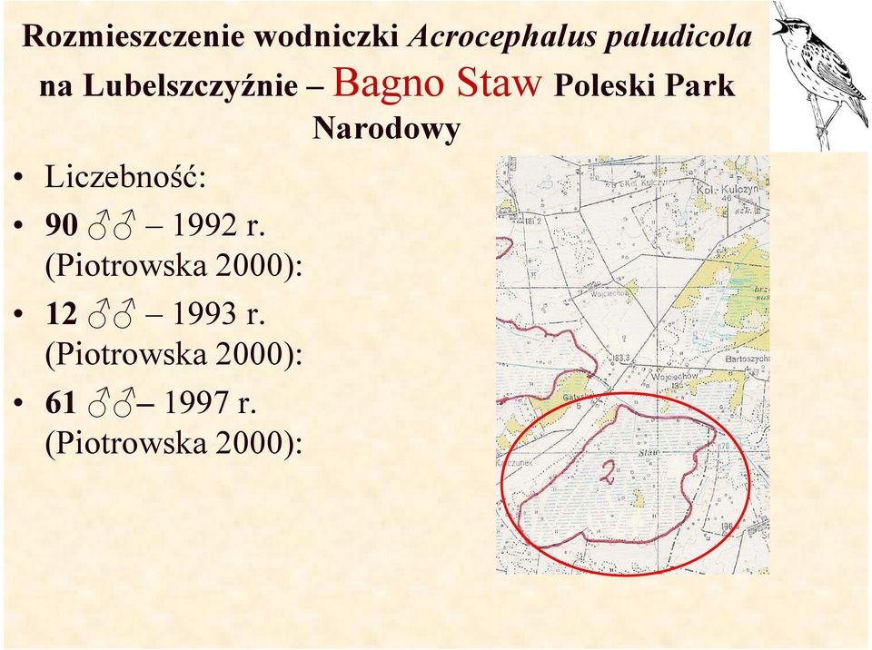 Narodowy Liczebność: 90 1992 r.