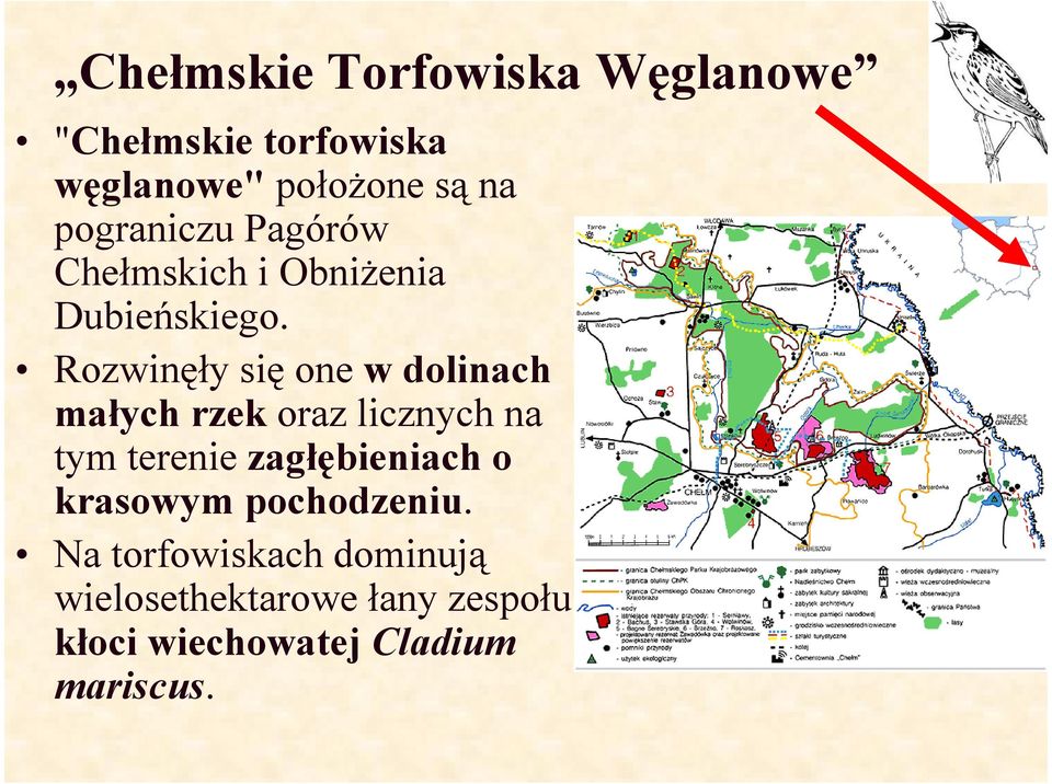 Rozwinęły się one w dolinach małych rzek oraz licznych na tym terenie zagłębieniach