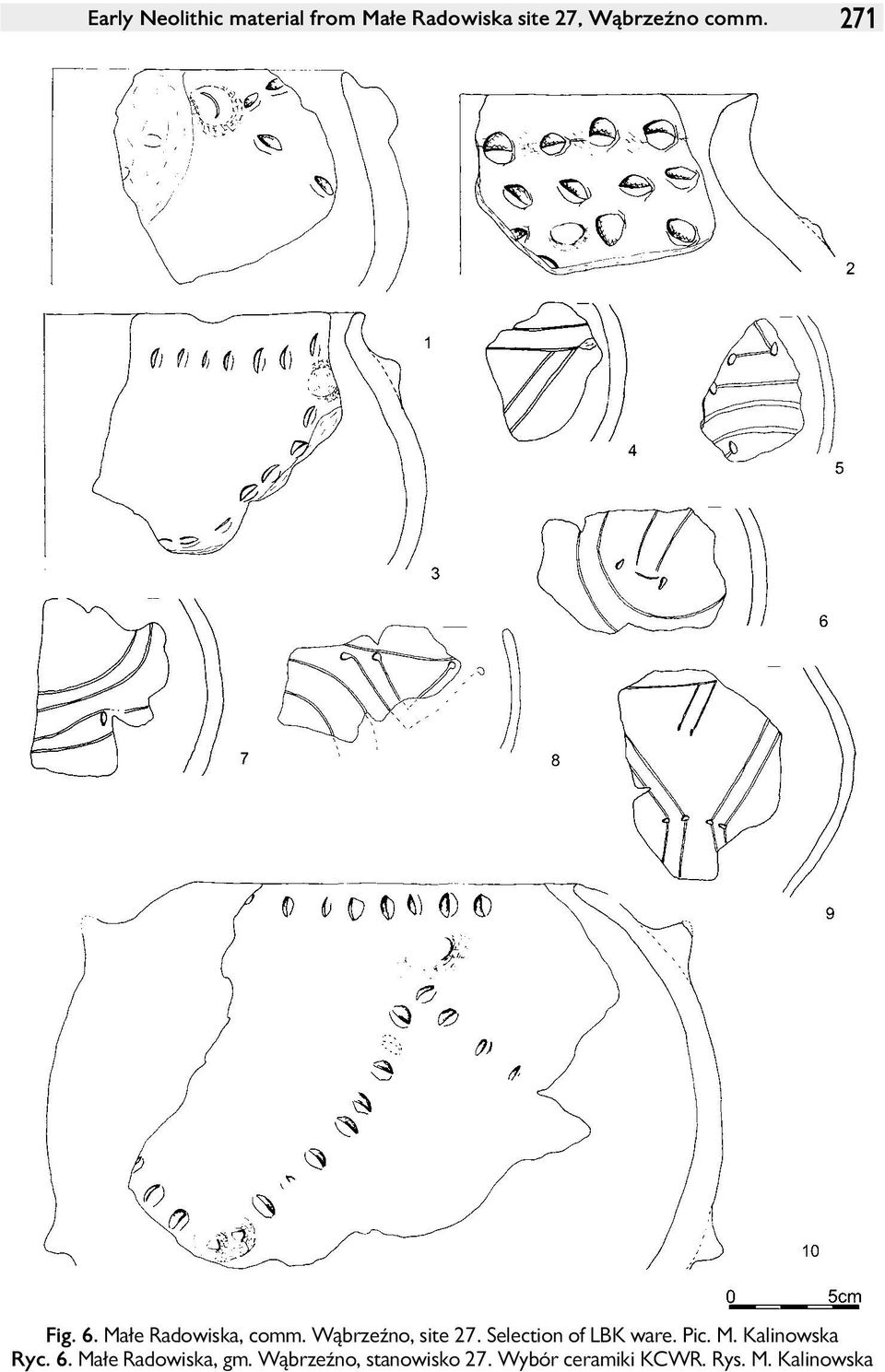 Selection of LBK ware. Pic. M. Kalinowska Ryc. 6.