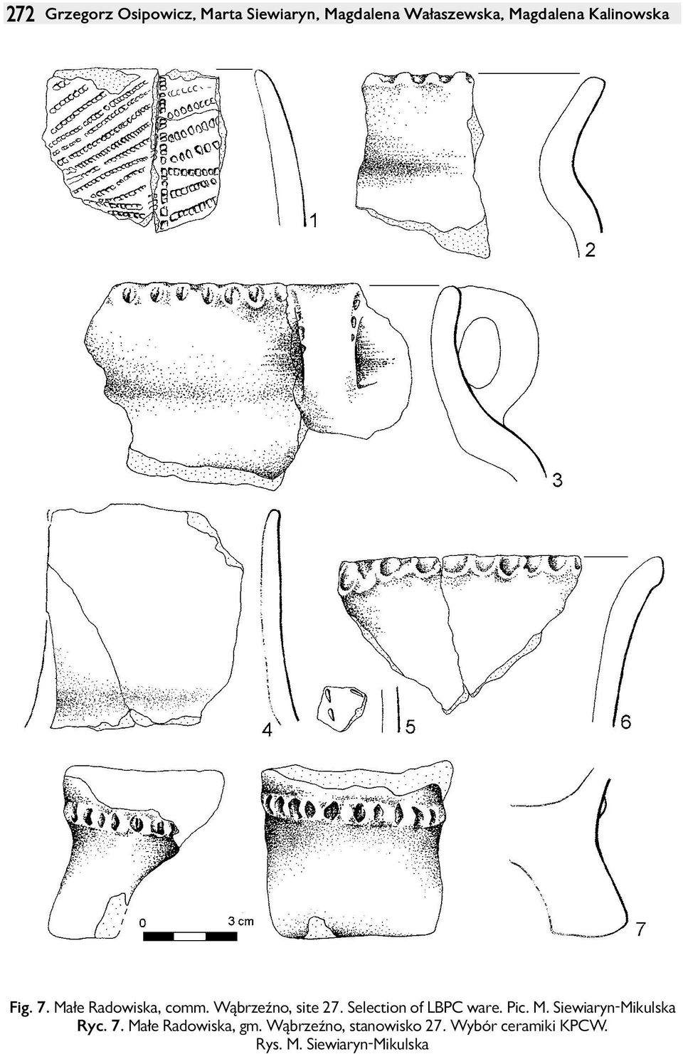Selection of LBPC ware. Pic. M. Siewiaryn-Mikulska Ryc. 7.