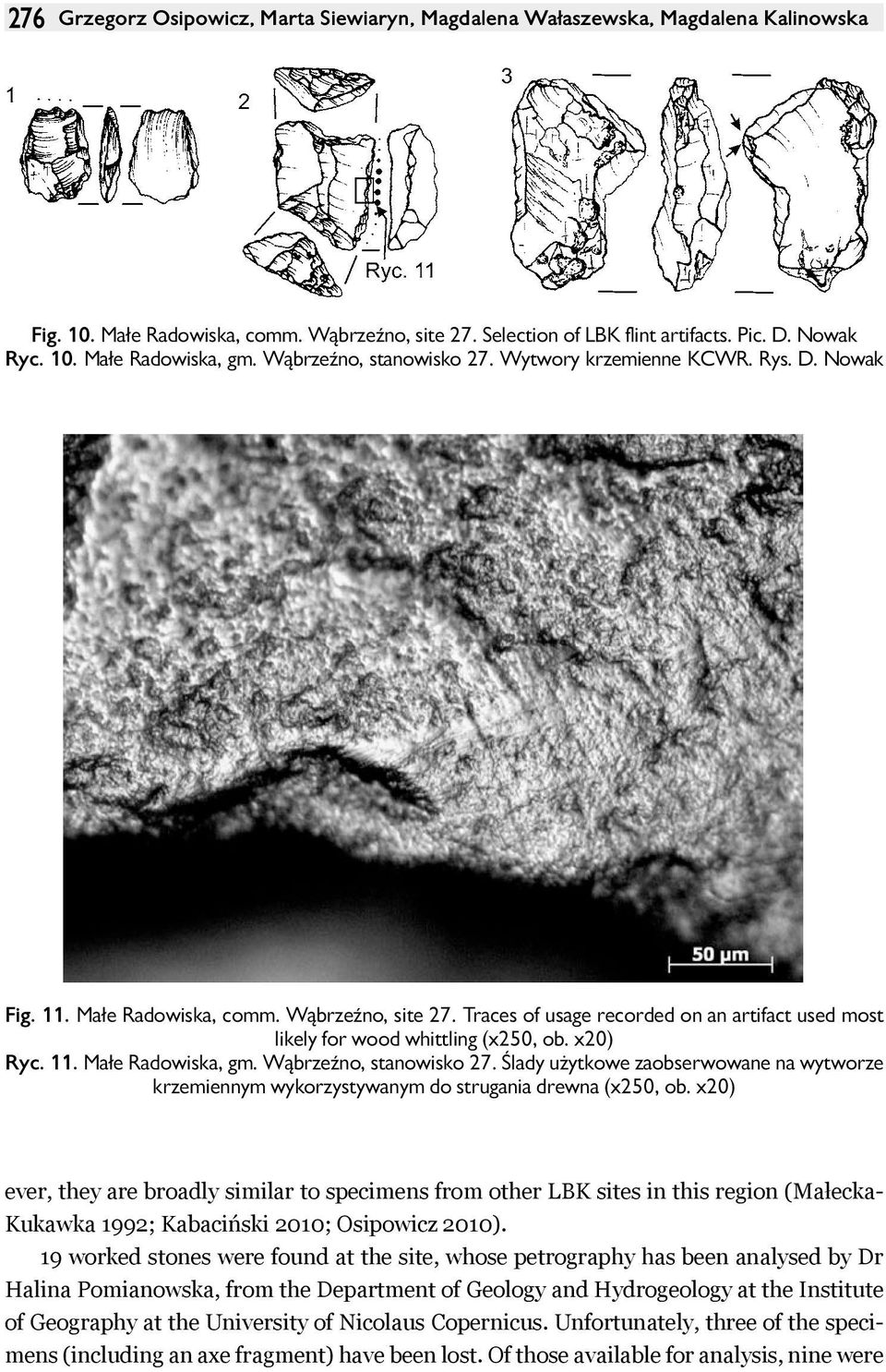 Traces of usage recorded on an artifact used most likely for wood whittling (x250, ob. x20) Ryc. 11. Małe Radowiska, gm. Wąbrzeźno, stanowisko 27.