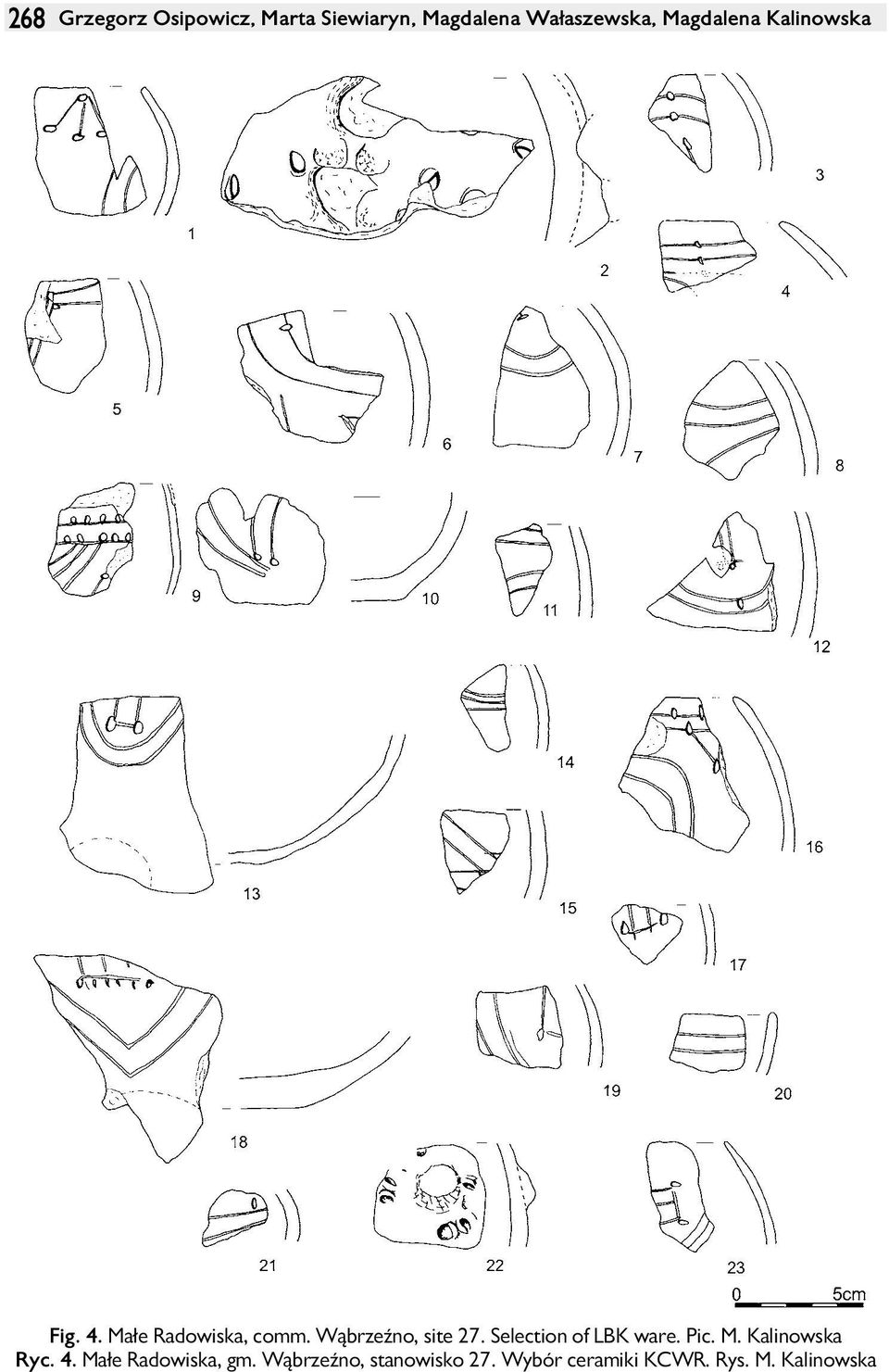 Wąbrzeźno, site 27. Selection of LBK ware. Pic. M. Kalinowska Ryc.