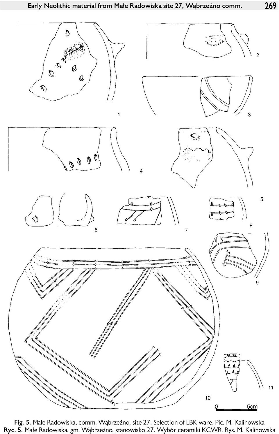 Selection of LBK ware. Pic. M. Kalinowska Ryc. 5.