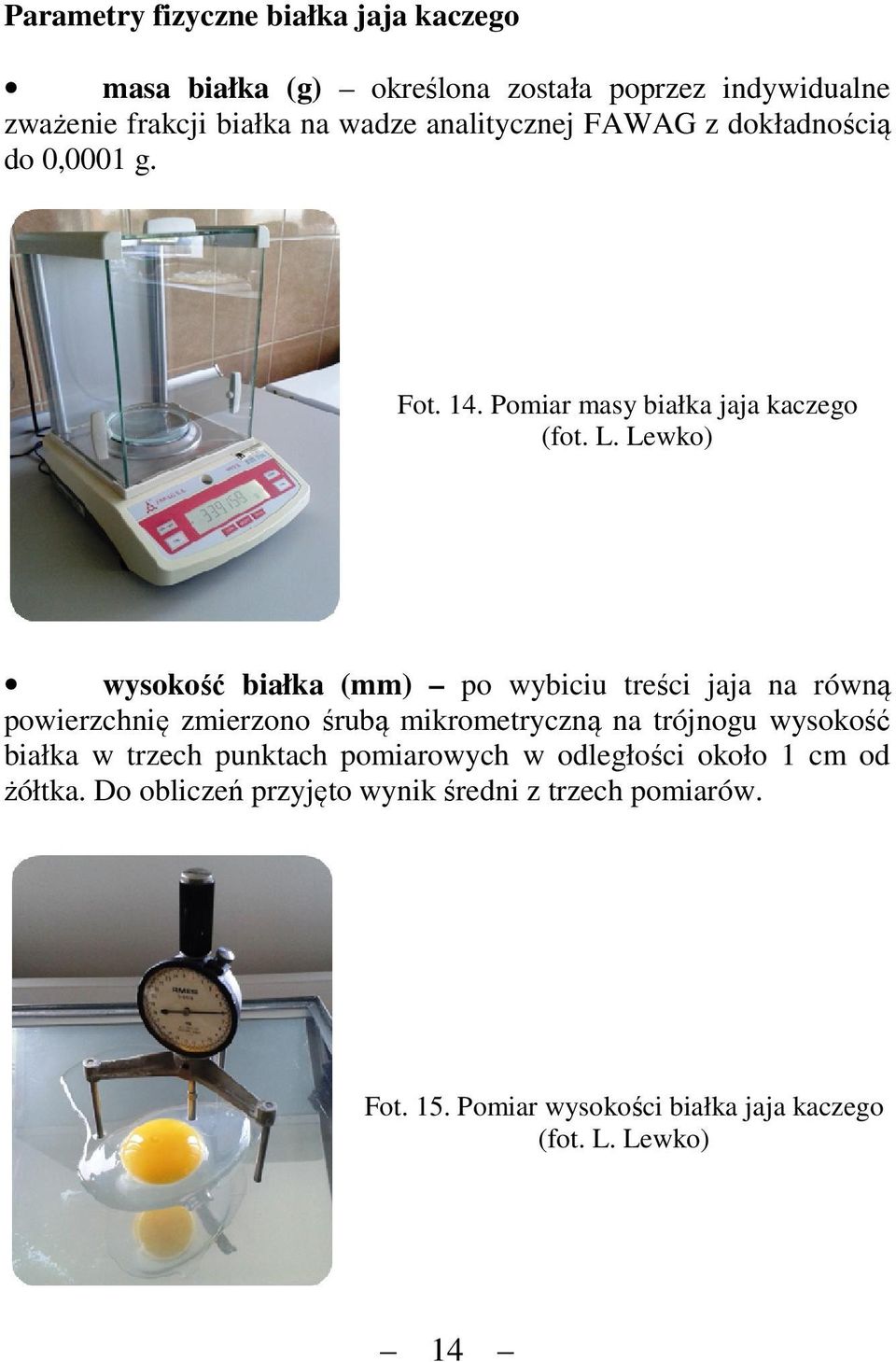 Lewko) wysokość biłk (mm) po wybiciu treści jj n równą powierzchnię zmierzono śrubą mikrometryczną n trójnogu wysokość
