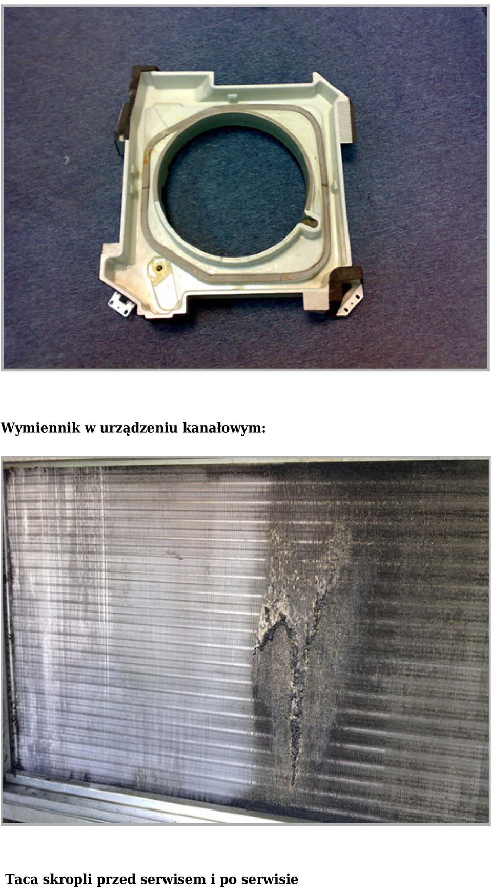 kanałowym: Taca