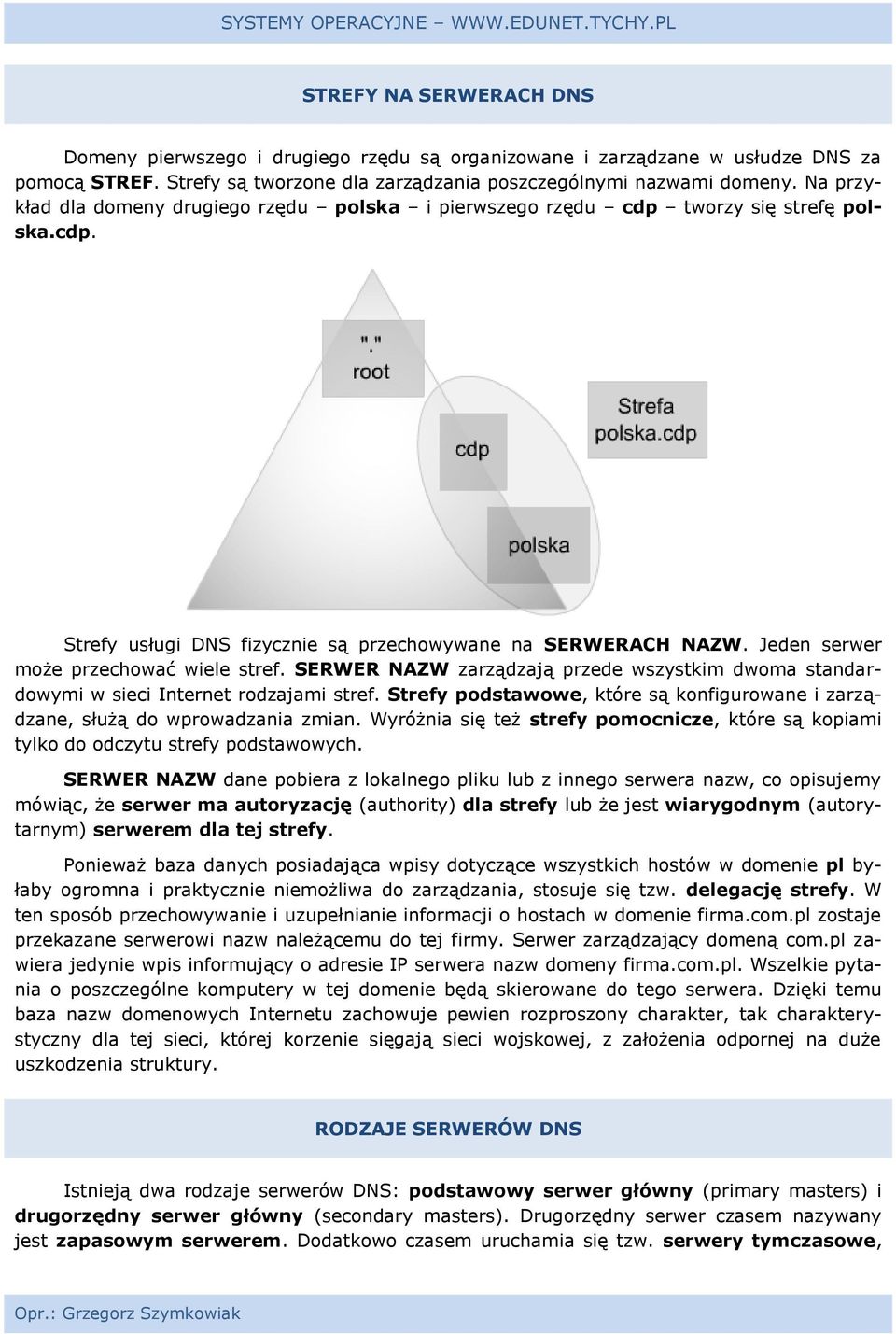 Jeden serwer może przechować wiele stref. SERWER NAZW zarządzają przede wszystkim dwoma standardowymi w sieci Internet rodzajami stref.