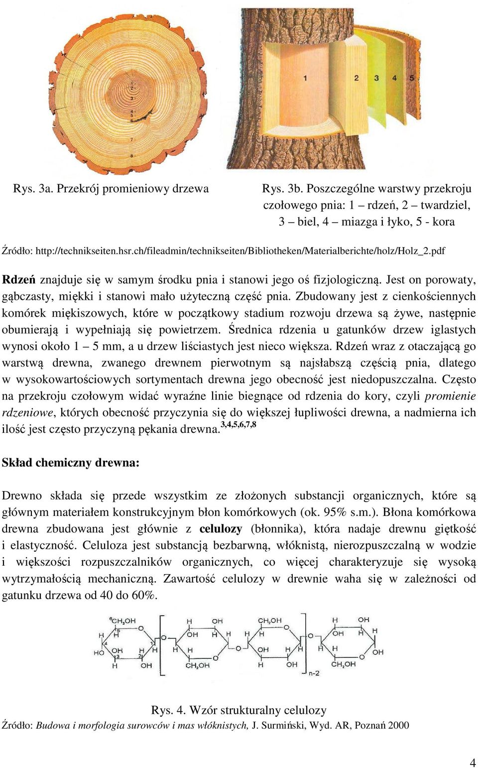 Jest on porowaty, gąbczasty, miękki i stanowi mało użyteczną część pnia.
