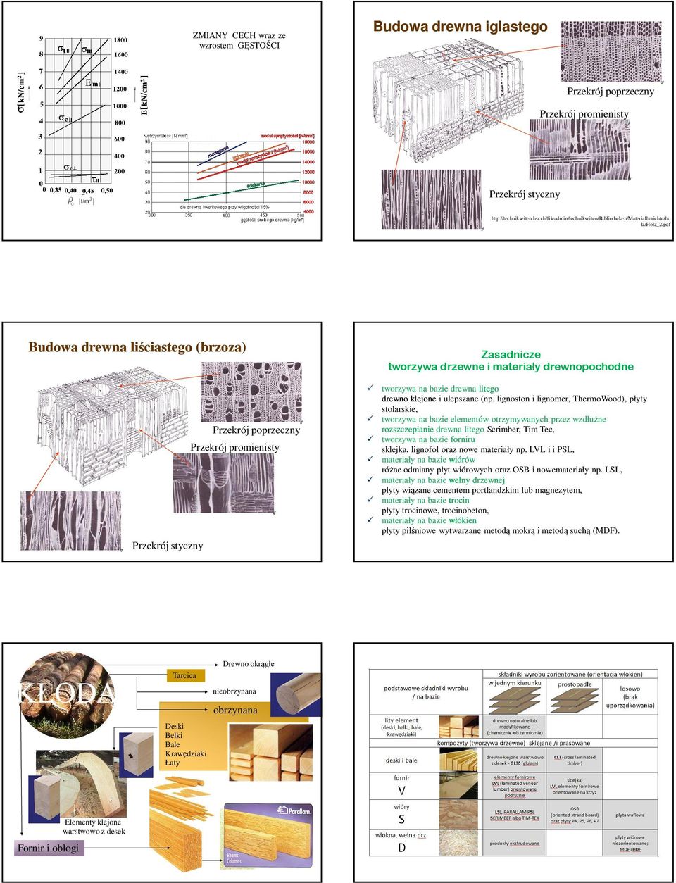 pdf Budowa drewna liściastego (brzoza) (brzoza) Przekrój poprzeczny Przekrój promienisty Zasadnicze tworzywa drzewne i materiały drewnopochodne tworzywa na bazie drewna litego drewno klejone i