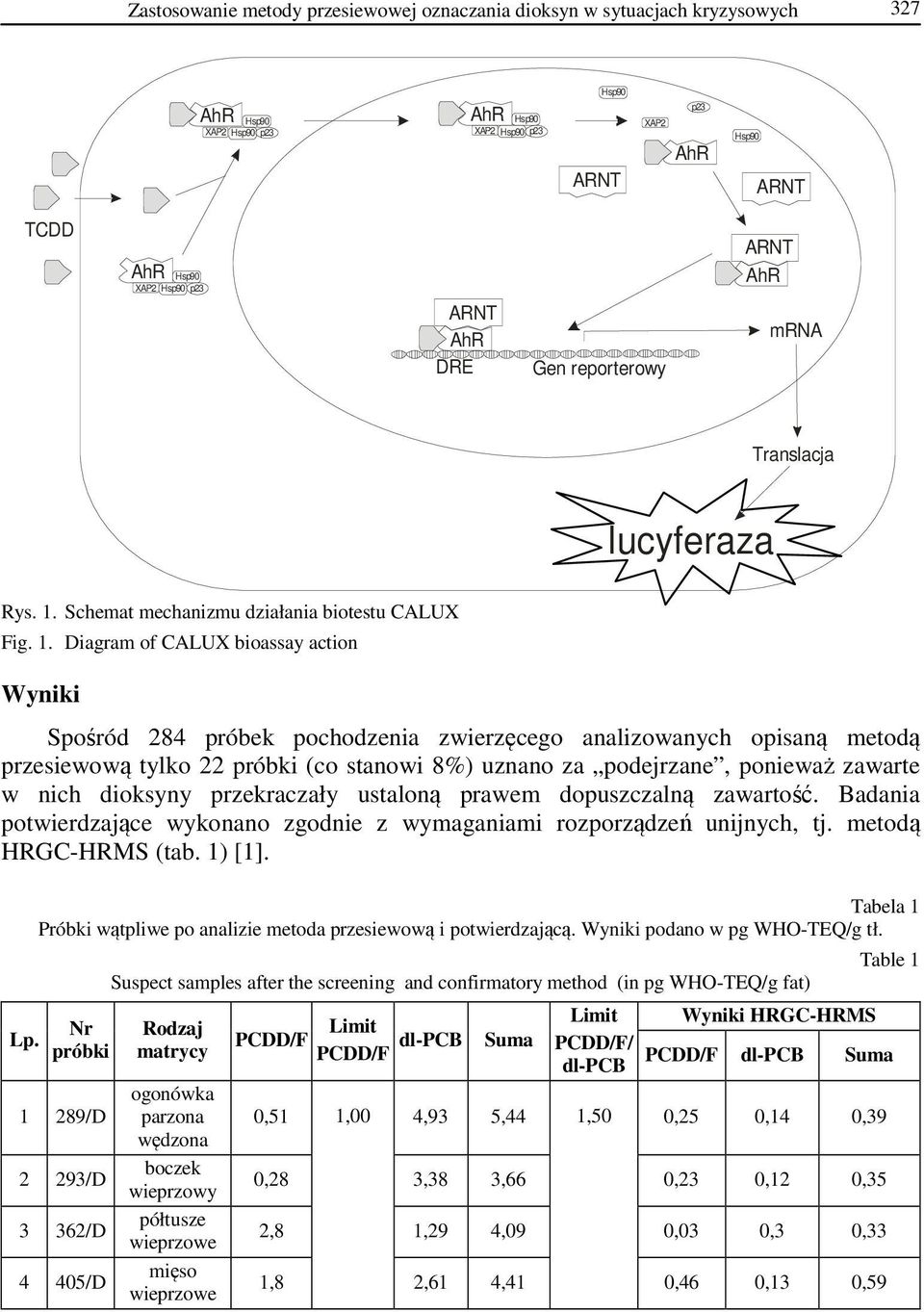 Schemat mechanizmu działania biotestu CALUX Fig. 1.