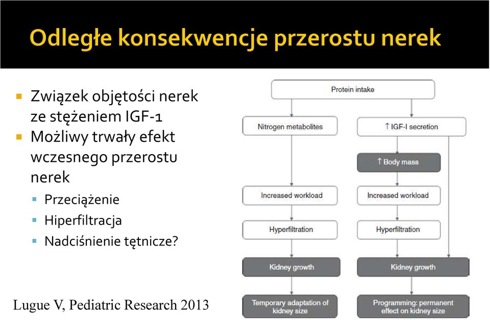 nerek Przeciążenie Hiperfiltracja