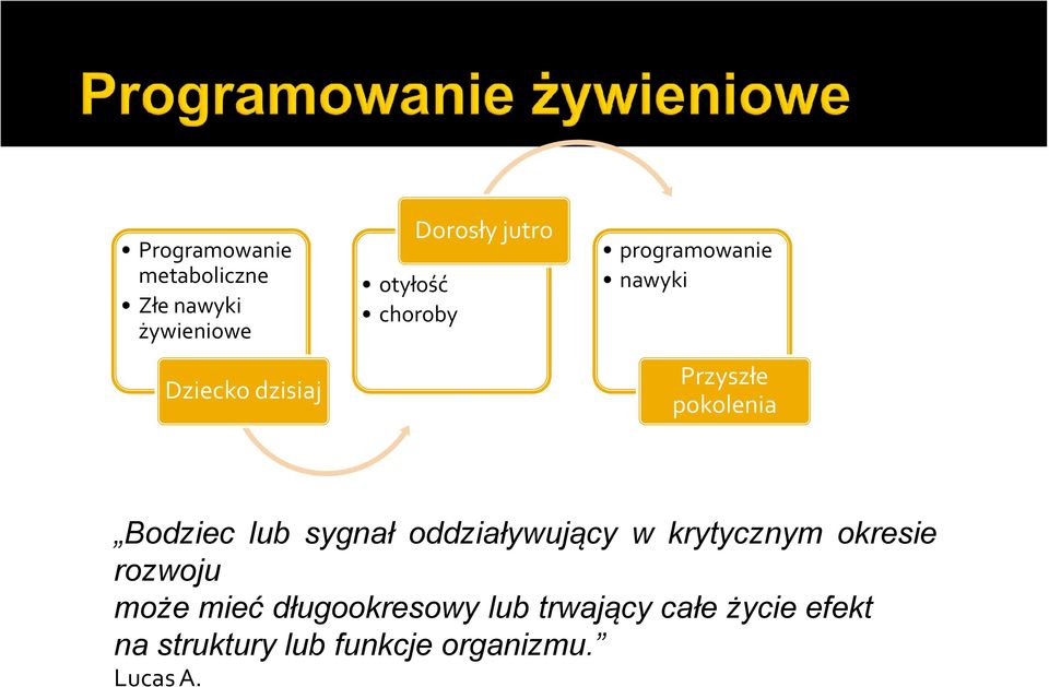 sygnał oddziaływujący w krytycznym okresie rozwoju może mieć