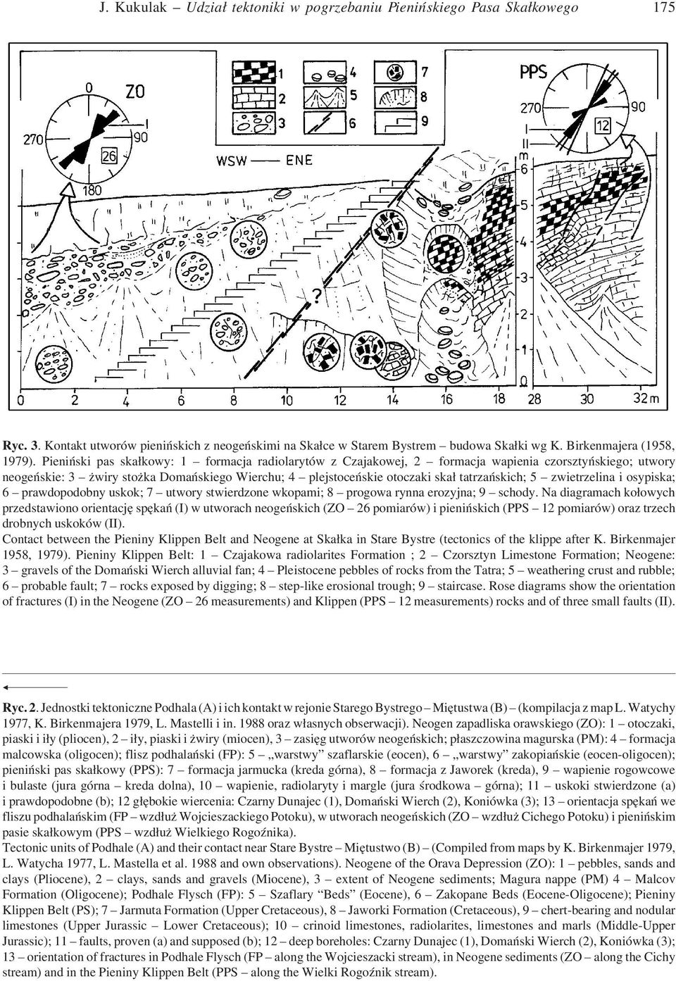 5 zwietrzelina i osypiska; 6 prawdopodobny uskok; 7 utwory stwierdzone wkopami; 8 progowa rynna erozyjna; 9 schody.
