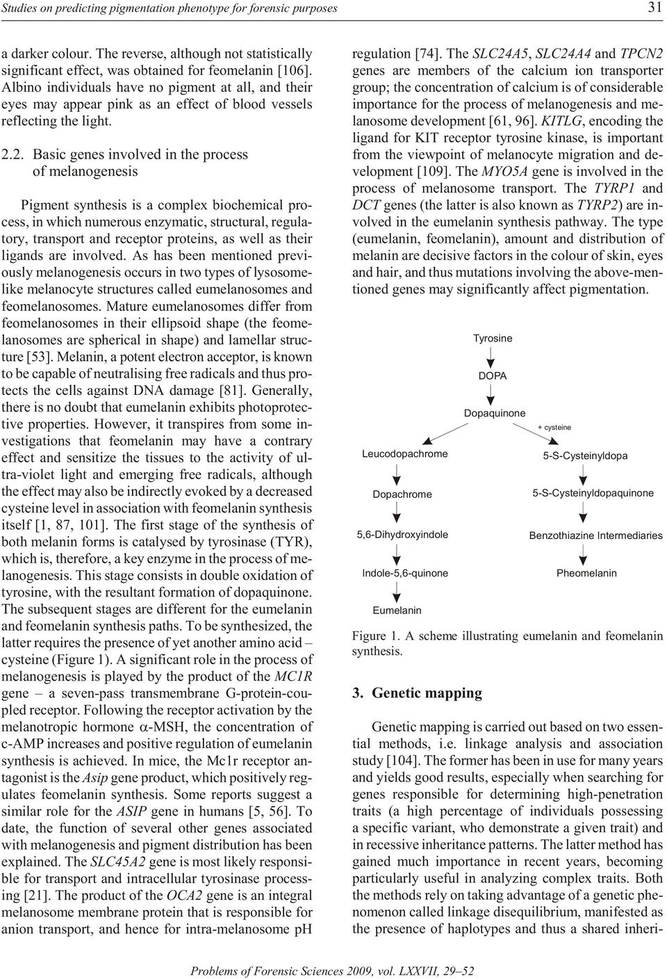 2. Ba sic genes in volved in the pro cess of melanogenesis Pig ment syn the sis is a com plex bio chem i cal pro - cess, in which nu mer ous en zy matic, struc tural, reg u la - tory, trans port and