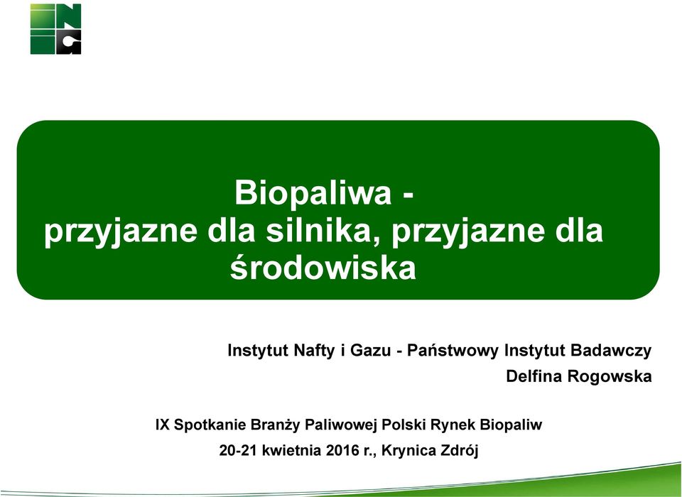 Badawczy Delfina Rogowska IX Spotkanie Branży