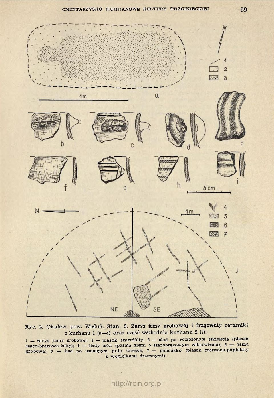 grobowej; 2 piasek szarożółty; 3 ślad po rozłożonym szkielecie (piasek szaro-brązowo-żółty); 4 ślady orki (pasma