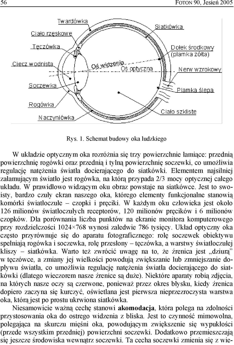 natężenia światła docierającego do siatkówki. Elementem najsilniej załamującym światło jest rogówka, na którą przypada 2/3 mocy optycznej całego układu.