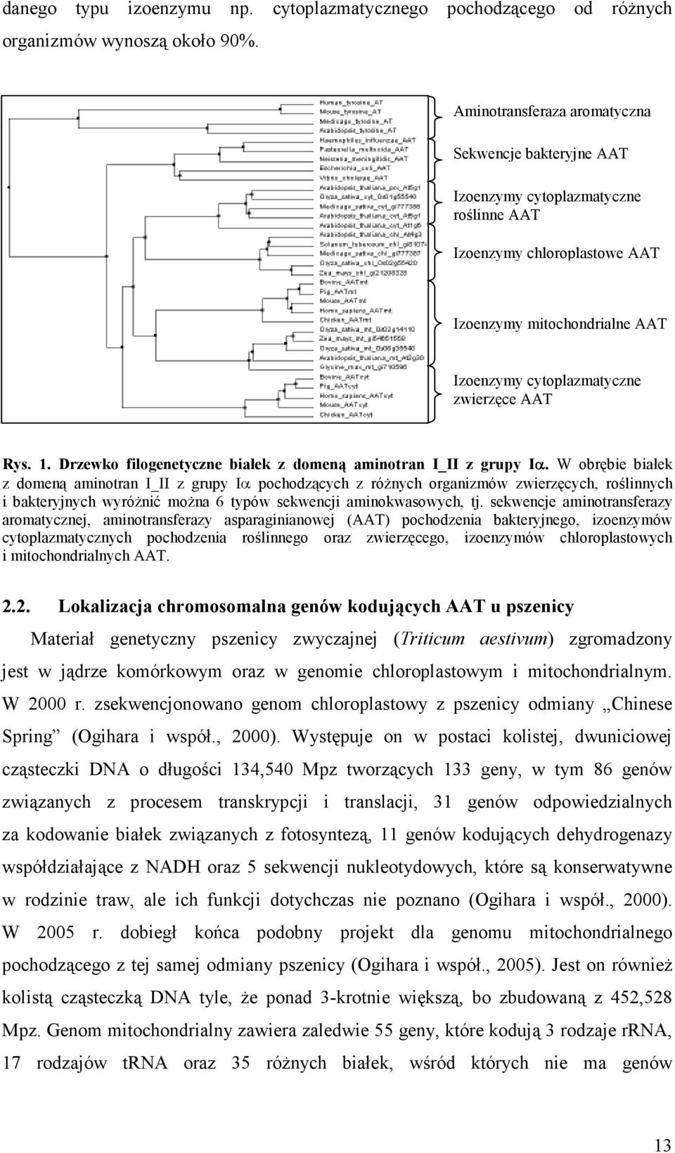 1. Drzewko filogenetyczne białek z domeną aminotran I_II z grupy Iα.