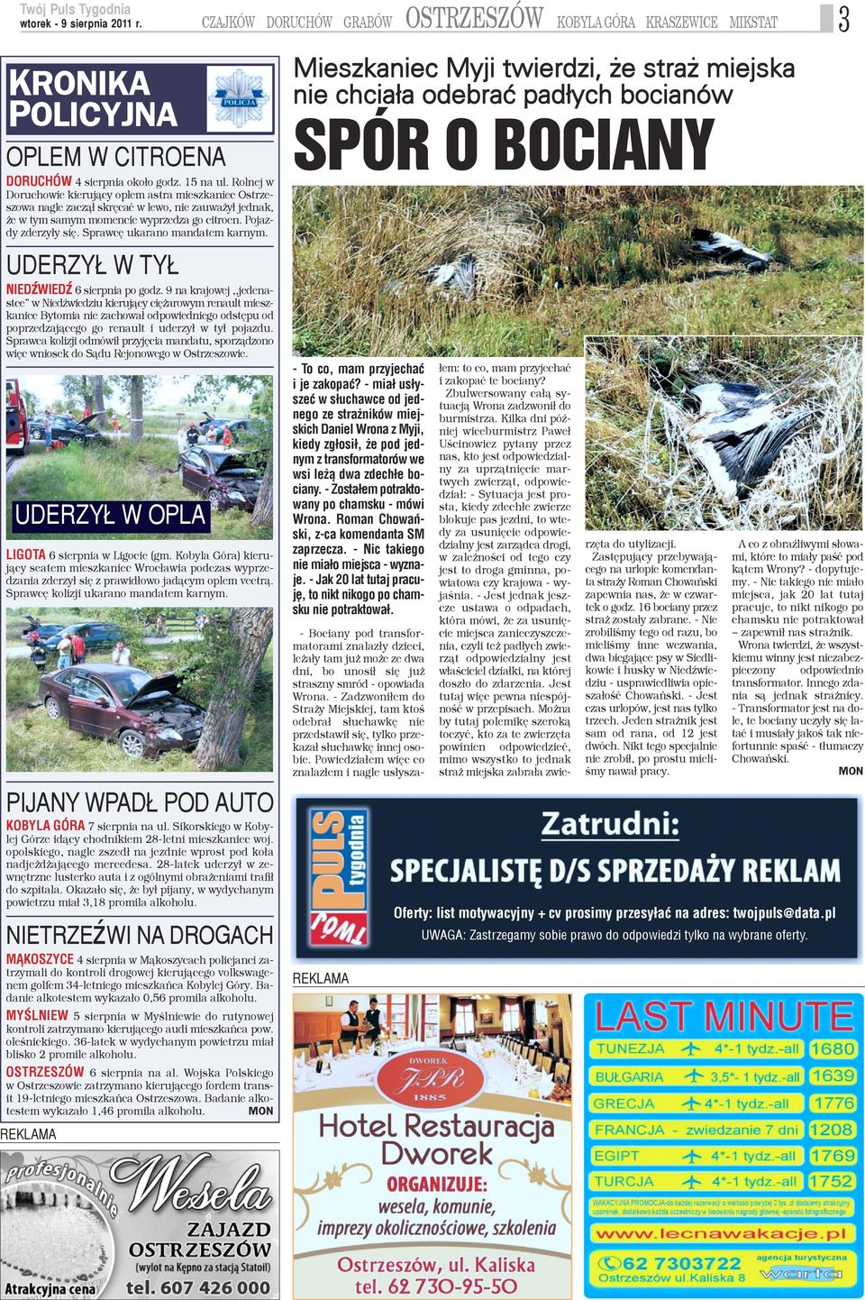 Sprawcê ukarano mandatem karnym. UDERZY W TY NIEDŸWIEDŸ 6 sierpnia po godz.