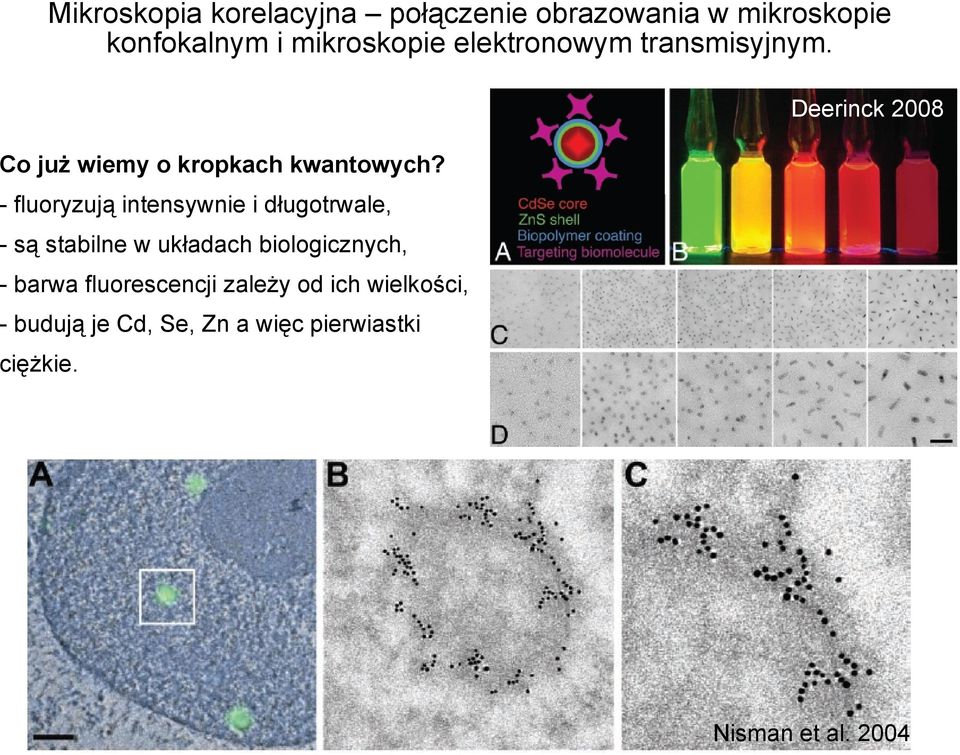 - fluoryzują intensywnie i długotrwale, - są stabilne w układach biologicznych, - barwa